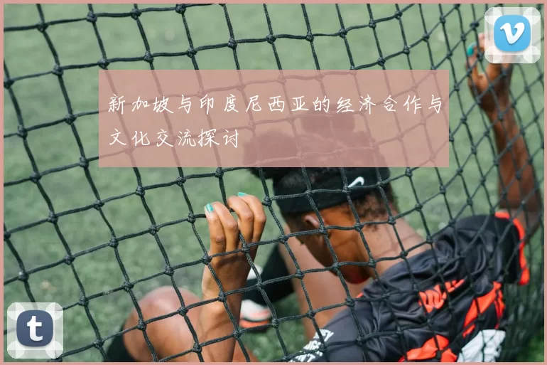 新加坡与印度尼西亚的经济合作与文化交流探讨